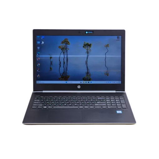 HP ProBook 450 G5 [1LU56AV]